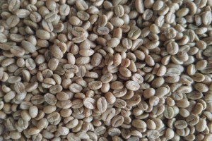Yirgacheffe Coffee from Ethiopia
